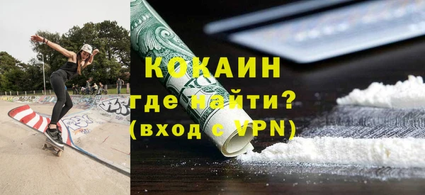 гашик Осинники