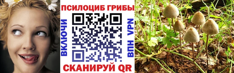 Псилоцибиновые грибы GOLDEN TEACHER  Никольск 